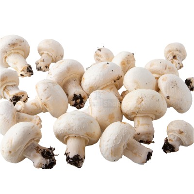 Шампиньоны свежие 500 г - купить в Байларово